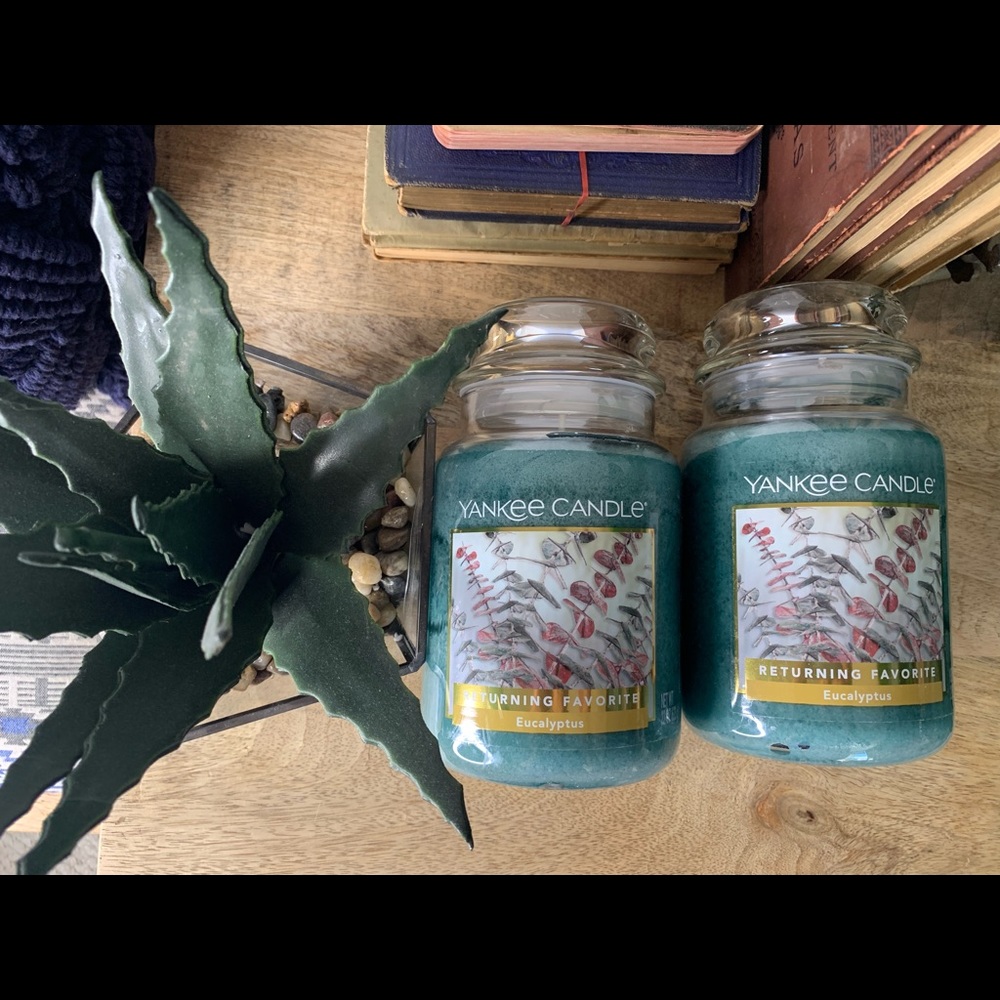 Brand New YANKEE CANDLE - Eucalyptus